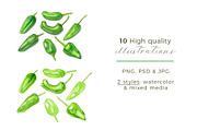 Hot Chili Peppers | 5 Cliparts, a Food Illustration by Miriam Figueras (Thumbnail 2 of 4)