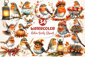 Watercolor Robin Birds Clipart, Fall, an Illustration by Dream Creation