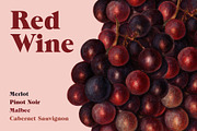 Vintage Fruit Illustrations, a Food Illustration by Catty Studio (Thumbnail 10 of 10)