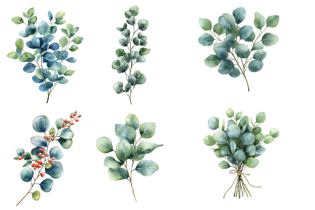 Watercolor Eucalyptus Clipart, an Illustration by Designworld (Photo 3 of 6)