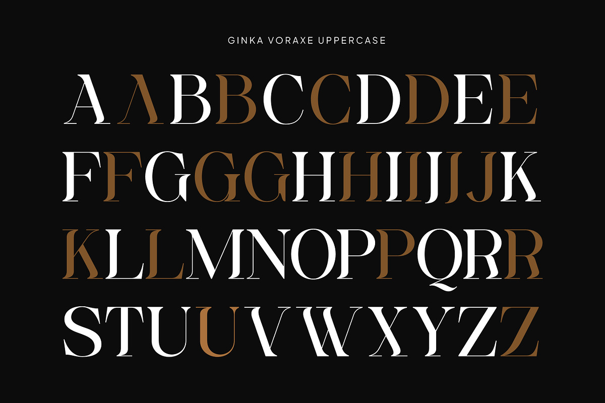 Ginka Voraxe – Modern Stylish Serif, a Serif Font by Mahesans Co (Photo 8 of 11)