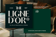 Weralionis - High Contrast Sans, a Sans Serif Font by Indotype Foundry (Thumbnail 6 of 10)