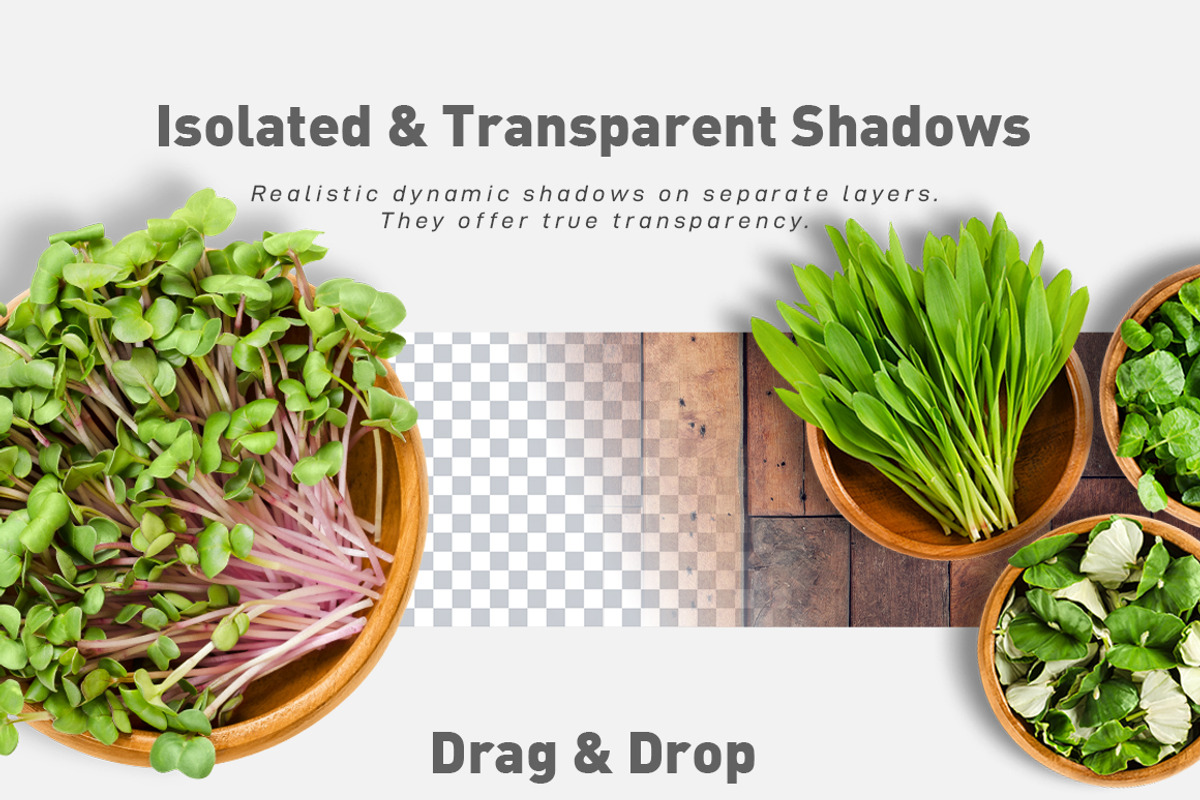 Organic Food Scene Creator_01, a Product Mockup by Mila (Photo 2 of 7)