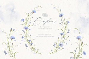 Watercolor Cornflowers, an Illustration by Nastya.Chay