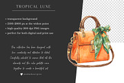 Tropical Luxe Collection, an Illustration by PeDe Designs (Thumbnail 9 of 28)