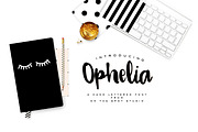 August Script Font Bundle, a Script Font by OnTheSpotStudio (Thumbnail 3 of 7)
