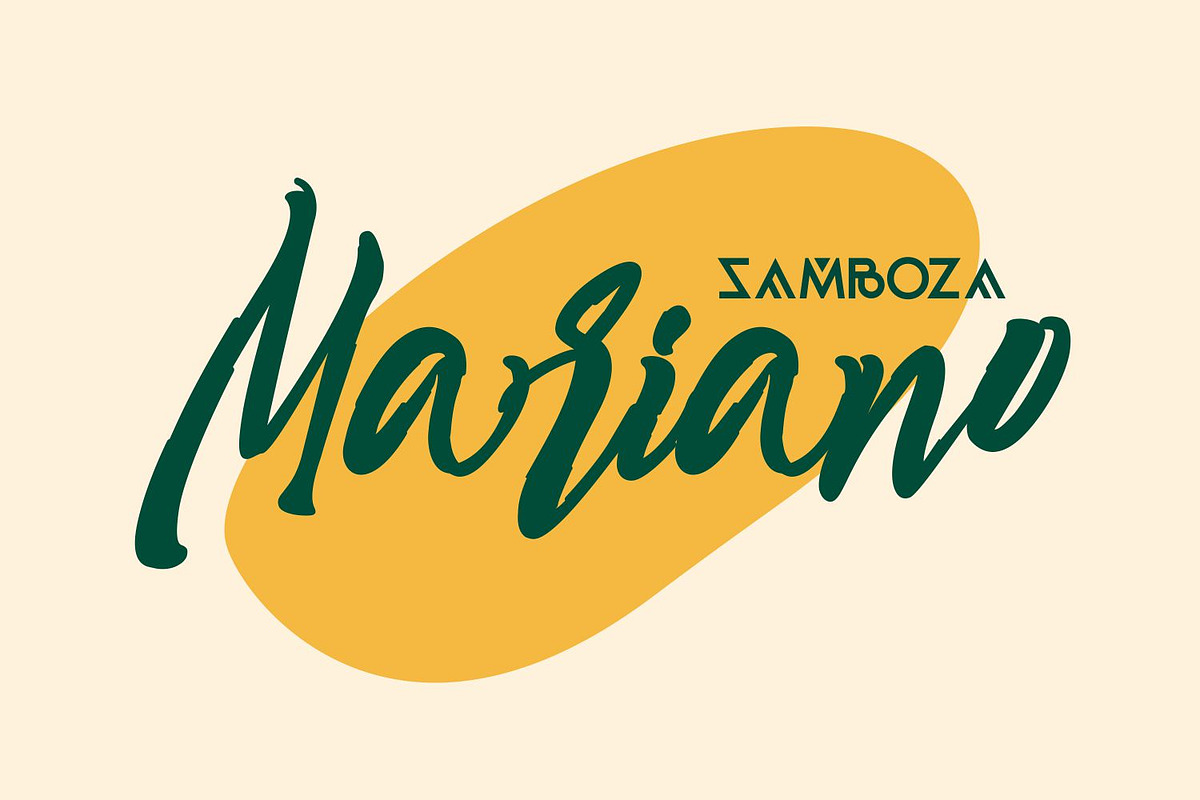 Rio de Janeiro Script Brush Font, a Script Font by WhymoreArt (Photo 2 of 10)