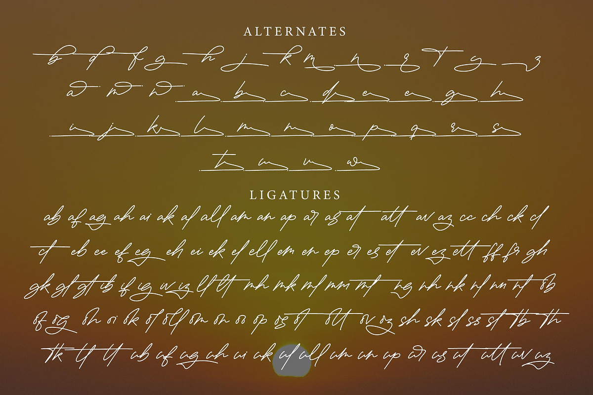 Histtageon - Monoline Signature, a Handwritten Font by Graha Type (Photo 11 of 12)