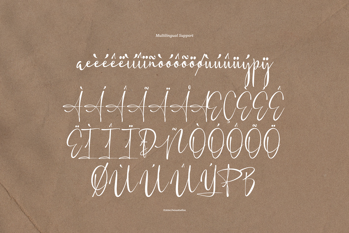 Harfey Lim Classic Signature Script, a Script Font by Denustudios (Photo 12 of 13)