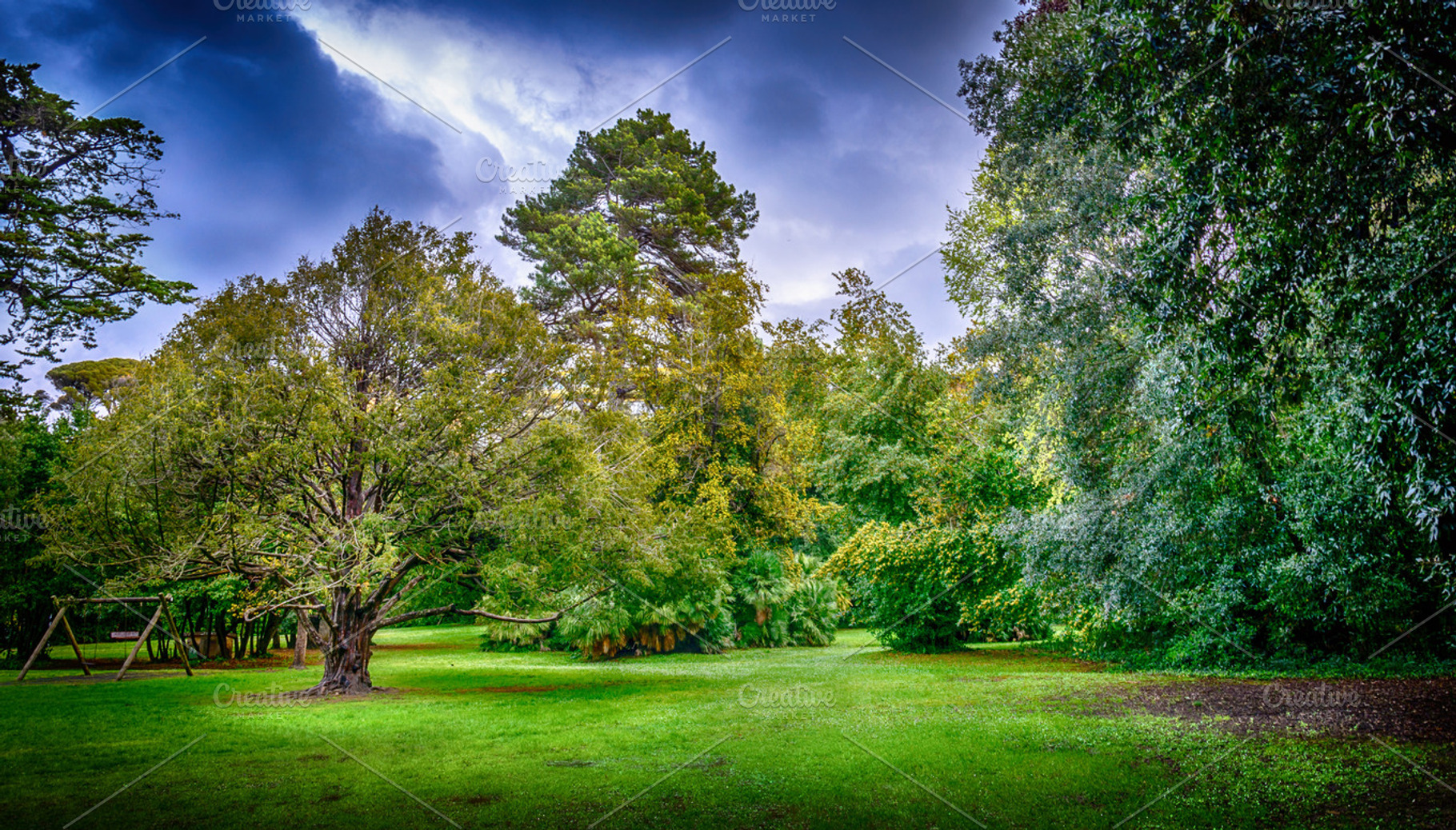 Park Scene with Trees and Green