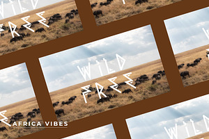 AFRICA VIBES FONT DISPLAY