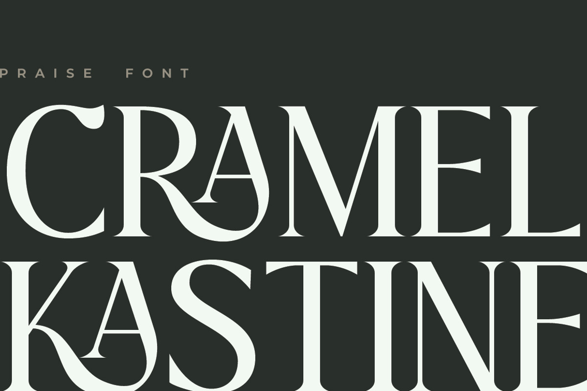 Praise Elegant Stylish Font, a Serif Font by Typebae (Photo 6 of 12)