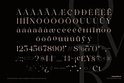 Austerlane; Display Serif Font, a Script Font by Eko Bimantara (Thumbnail 11 of 11)