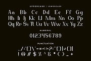 Rostyah - Elegant Serif Font, a Serif Font by Iqsiart Studio (Thumbnail 6 of 8)