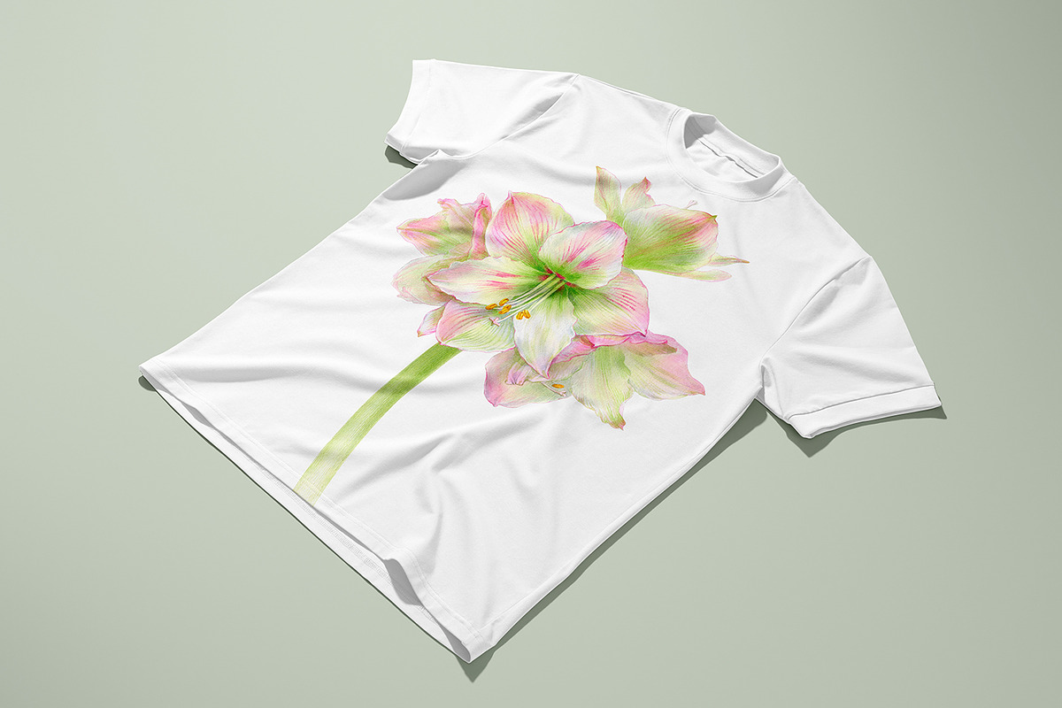 Botanical art - amarillis flowers, an Object Graphic by ViktoriArt (Photo 4 of 14)