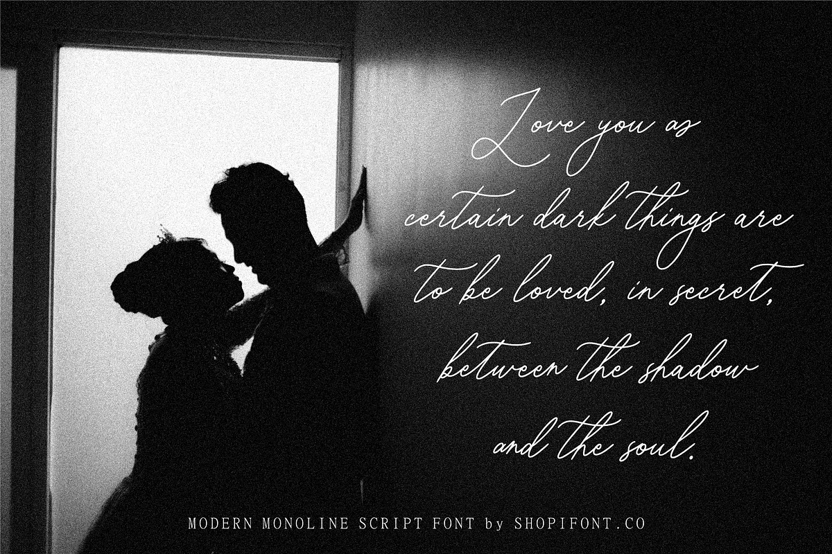 Blaisflur Radiante, a Script Font by Shopifont.co (Photo 8 of 13)
