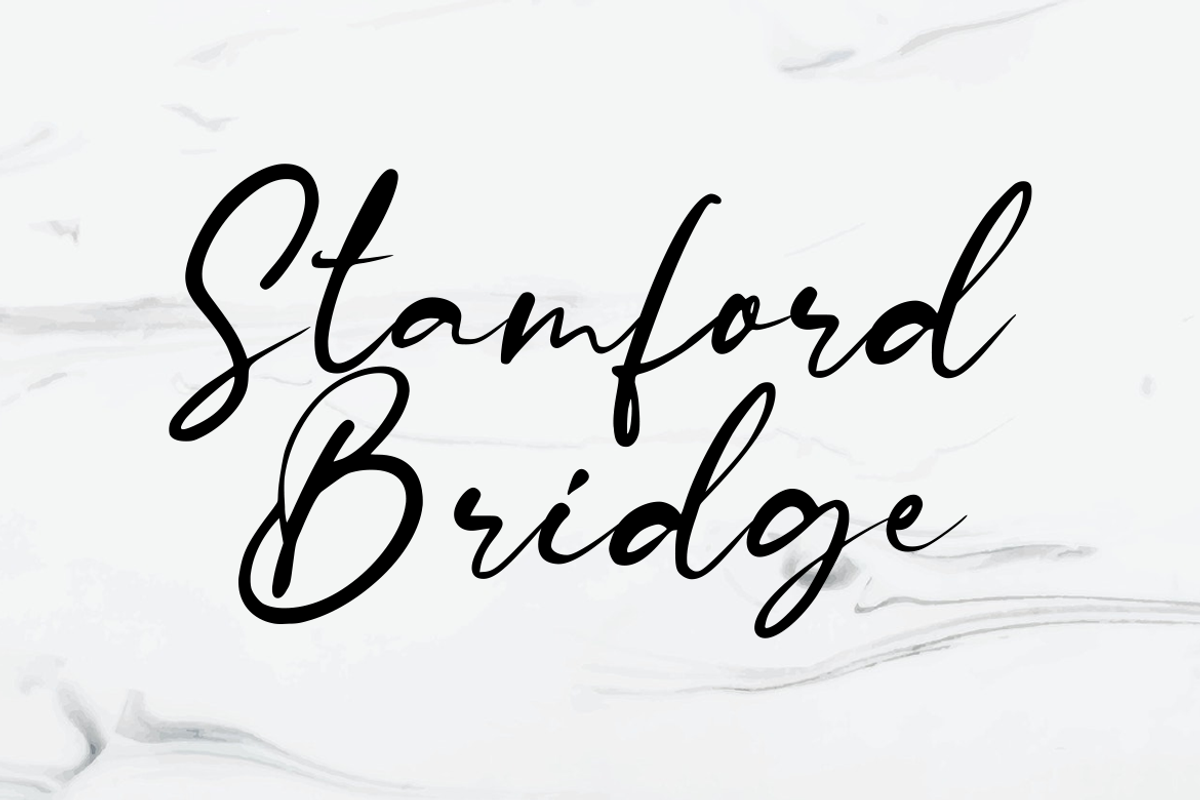 Stamford Bridge Signature Font, a Script Font by Bluestudio (Photo 11 of 11)