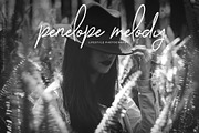 Phoebe Moon Font | Fresh Organic, a Script Font by Feather & Sage Design (Thumbnail 6 of 24)