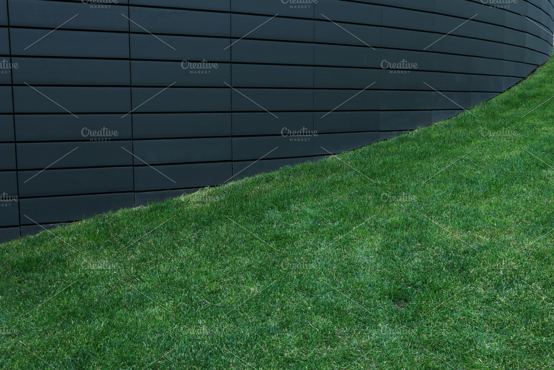 Green grass, grass on the territory for walking in a residential, a Holiday Photo by AtlasStudio PRO
