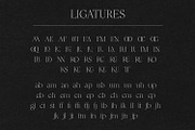 CHARM Mirage – Classic Serif Font, a Serif Font by Issam Type (Thumbnail 12 of 14)