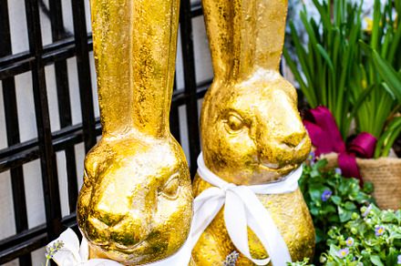 Two Golden Easter Bunnies