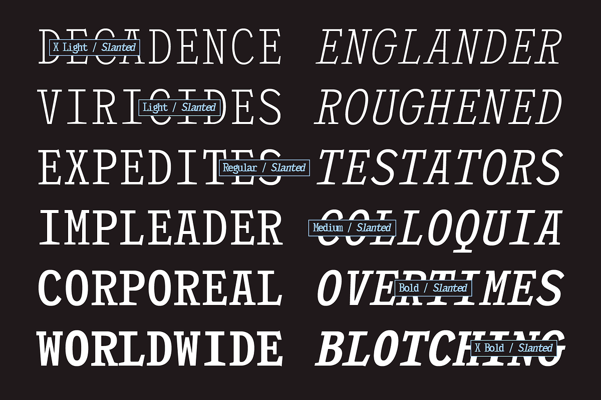 403 Felgrit, a Slab Serif Font by 403 Type Foundry (Photo 9 of 15)