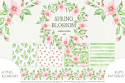 Spring Blossom Watercolor Set, a Seasonal Illustration by Gribanessa (Thumbnail 1 of 6)