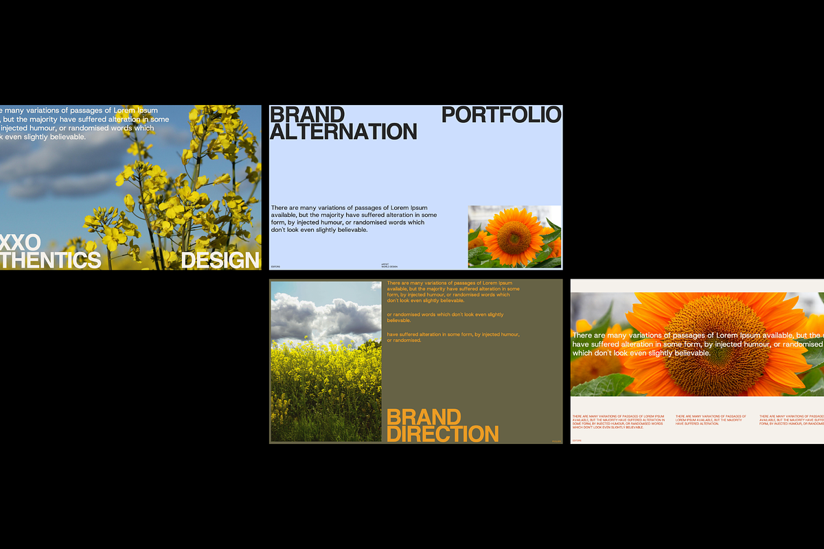 Hexxo Brand Portfolio Canva Template, a Presentation Template by Creatorism (Photo 5 of 9)