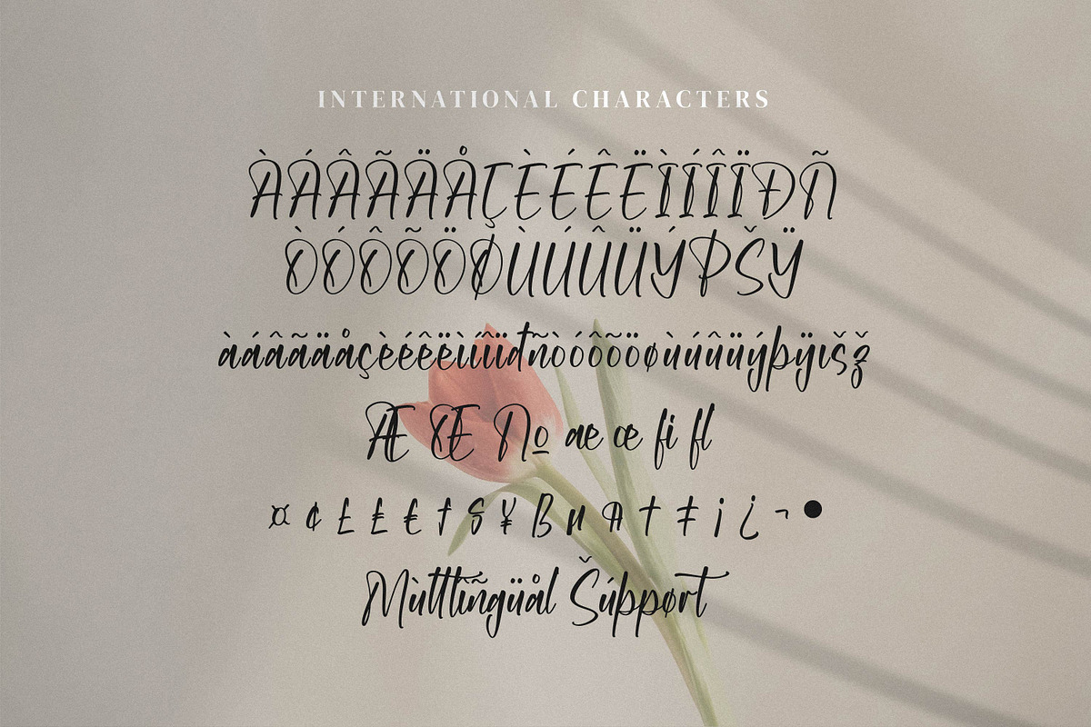 Aksarantti, a Script Font by Integritype Studio (Photo 10 of 15)