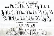 Rollercoaster, a Handwritten Font by FreshTypeINK (Thumbnail 2 of 8)