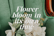 The Billion Butterfly Serif, a Serif Font by zeenesia (Thumbnail 2 of 19)