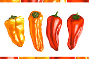 Hand-drawn Watercolor Mini Peppers, a Decorative Illustration by Margo Miller (Thumbnail 2 of 17)