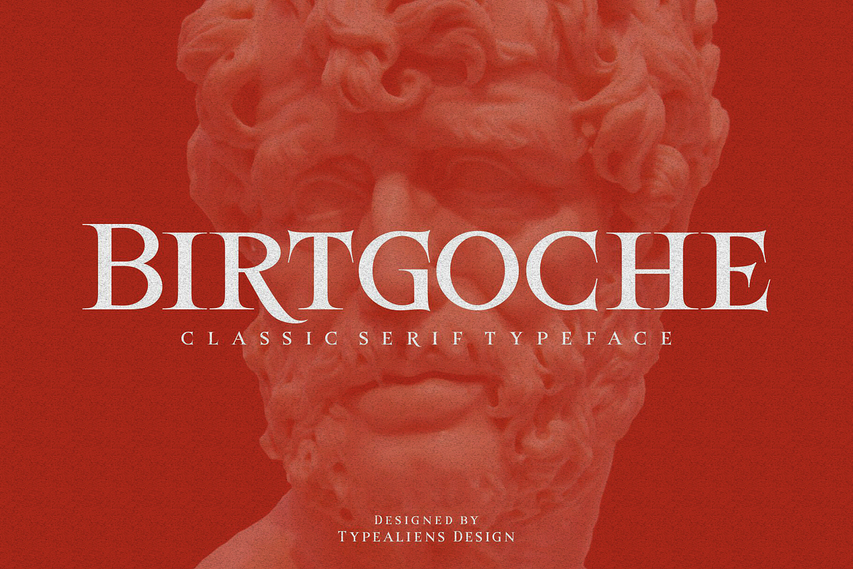 Birtgoche, a Serif Font by ilhamtaro (Photo 1 of 10)