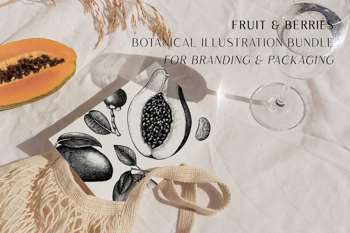 BUNDLE - Fruit & Berries Collection, a Food Illustration by Yevheniia (Photo 6 of 9)