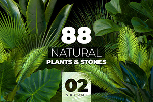 NATURAL Plants&stones Collection 02