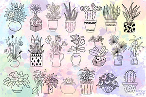 Home Plants Brush Stamps Procreate