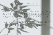 Basgem – Modern Serif Typeface, a Serif Font by Issam Type (Thumbnail 17 of 18)