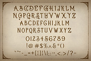 Stately Display Typeface, a Serif Font by Dandylyon Designs (Thumbnail 6 of 9)