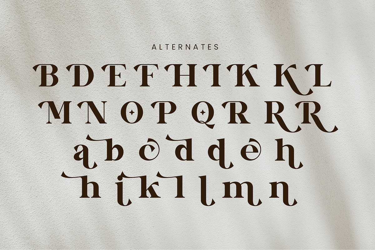 Vinaly Serif Font, a Serif Font by Idea Studio (Photo 10 of 11)