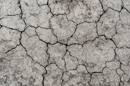 Texture of dry cracked earth., an Abstract Photo by Eugene_Photo