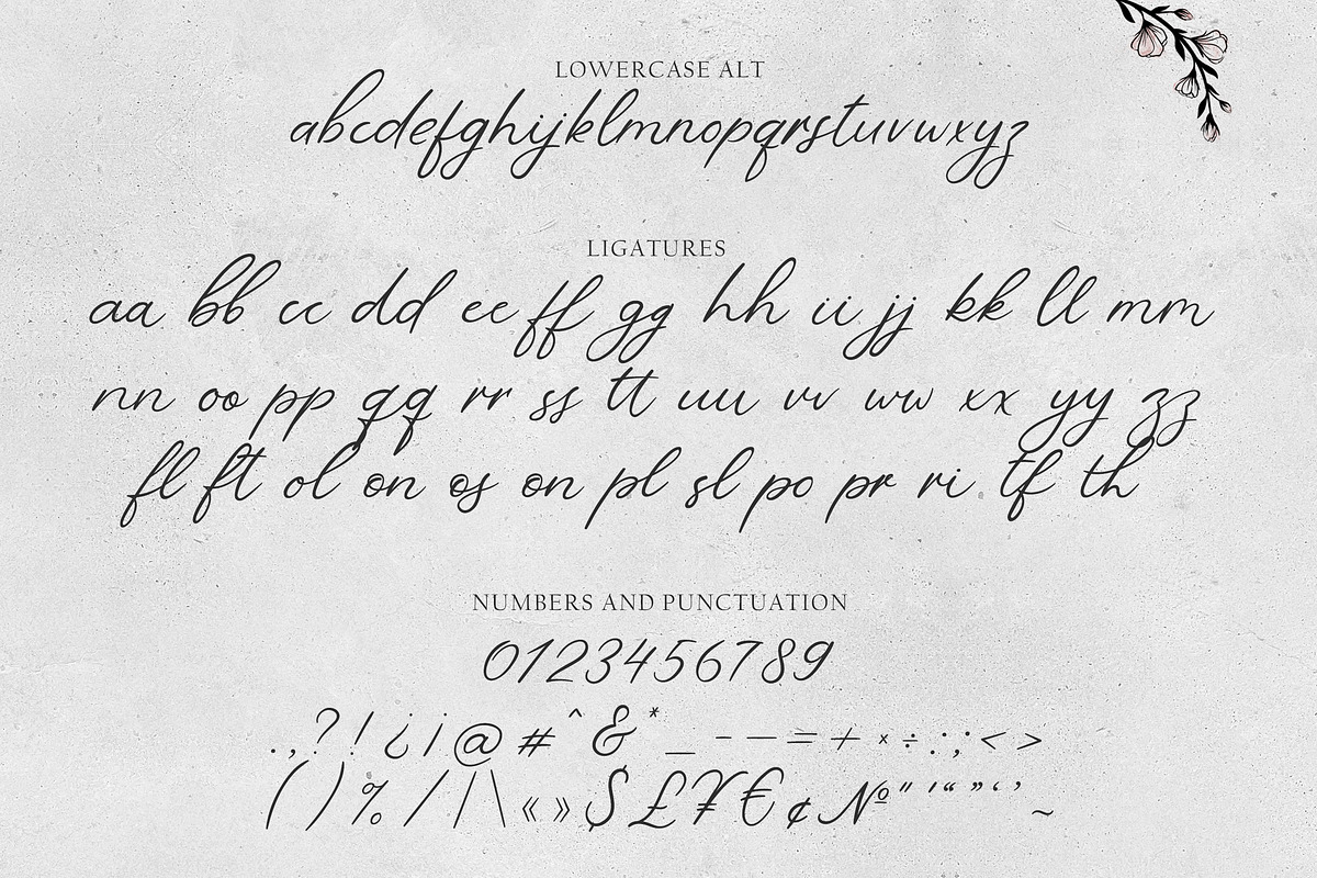 'Le Jardin' Floral Font, a Script Font by AnMark (Photo 9 of 13)