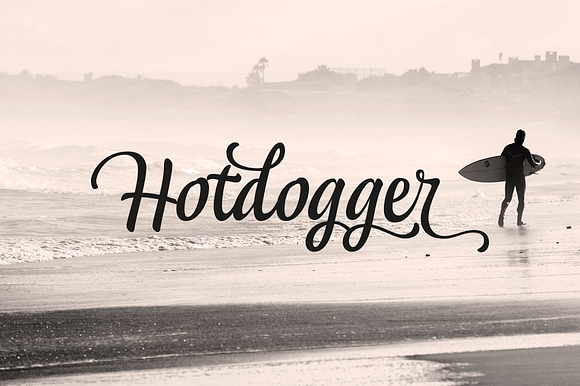 Hotdogger script preview 5