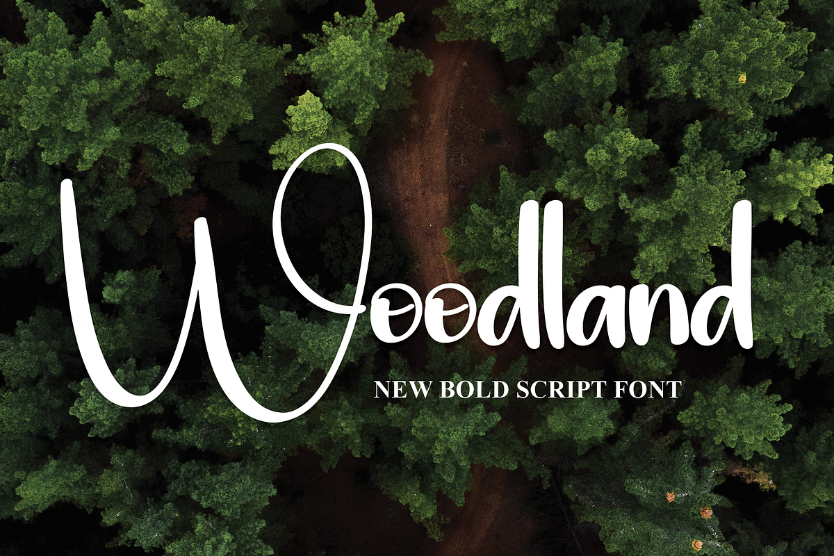 Woodland | Script Font, a Script Font by Scratchones (Photo 1 of 8)