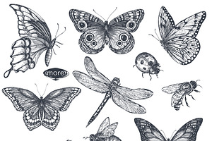 Insects And Wildflowers Vector Set