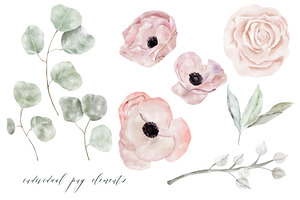 Anemone Watercolor Texture Clipart