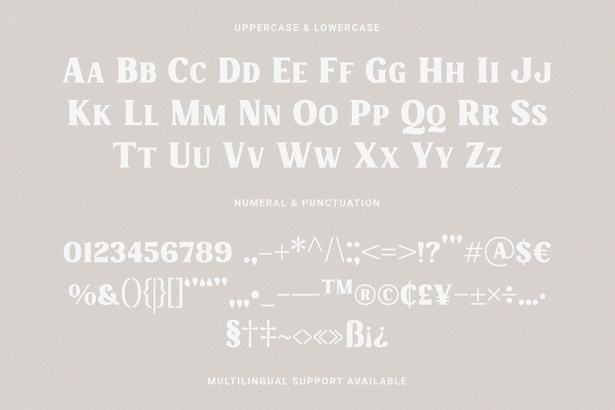 Charmist – Thick And Unique Serif, a Serif Font by Prioritype Co (Photo 8 of 11)
