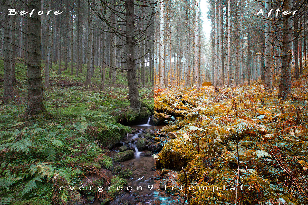 Ever Green 10 Lightroom Presets., an Action Add-On by MorningStar (Photo 11 of 11)
