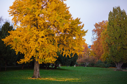 landscape in autumn in Prague, Czech Republic, an Architecture Photo by Alliance Images