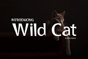 Wild Cat, a Sans Serif Font by edcreative (Thumbnail 1 of 4)