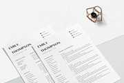 Resume Template Professional, a Resume Template by LucaTheme (Thumbnail 6 of 10)
